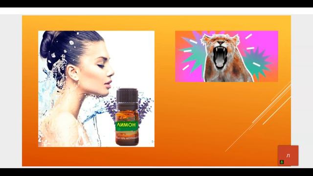 Найди свое счастье по запаху. (31.01.24) смотреть онлайн