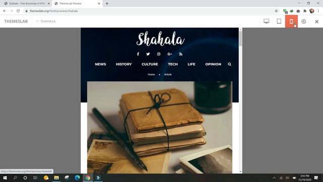 Shahala: Free Bootstrap 4 HTML5 Creative News Website Template смотреть онлайн