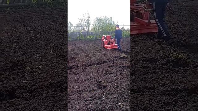 Тяжёлый дизельный мотоблок хопёр МТ 100е в деле!!! весенняя вспашка ! мощь! смотреть онлайн