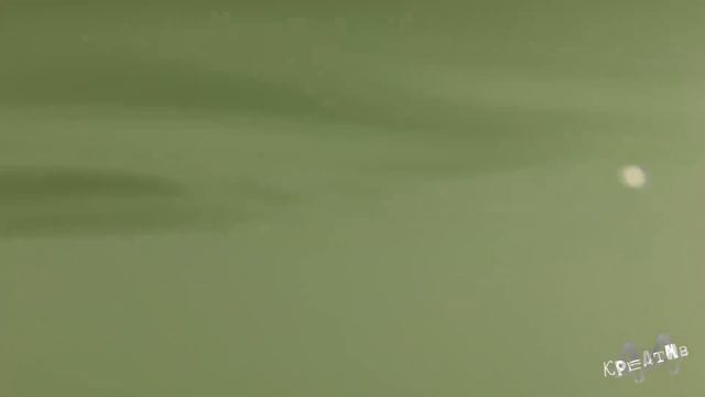 Крым. День 19. Выходной.