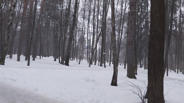 КАК ЖЕ КЛАССНО ПИСАТЬ НА ЭМУЛЬСИОННО- МАСЛЯННОМ ГРУНТЕ! Снег повалил!#живопись #художник