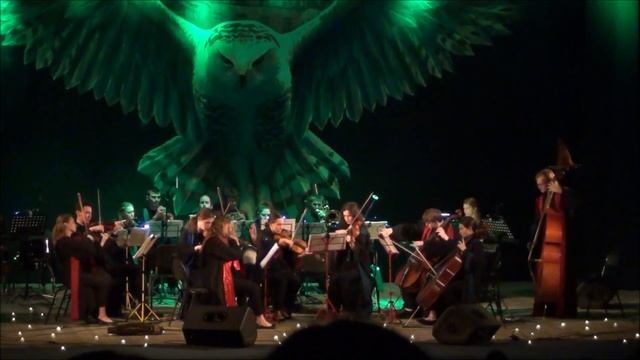 Гарри Поттер Симфонический Оркестр SONORUS [Harry Potter Symphony Orchestra SONORUS] 2023