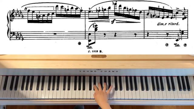 グスタフ＝メルケル「夜会」 Gustav Merkel: Abendfeier Op.84 смотреть онлайн