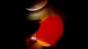 Смотрим оплод яиц индоуток. Овоскопирование утиных яиц