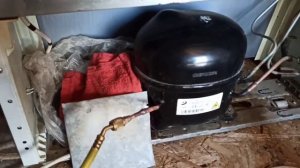 заправляю холодильник r600