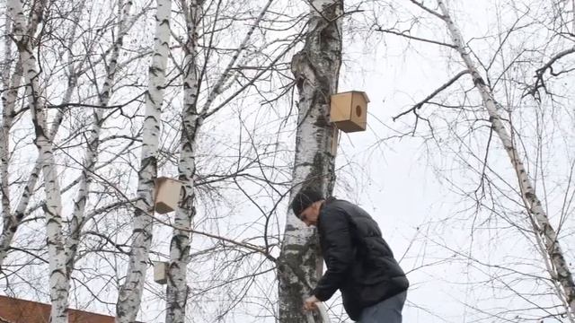 День птиц - 2018. Волонтерский экологический отряд 