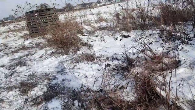 ловля птиц на сеть смотреть онлайн