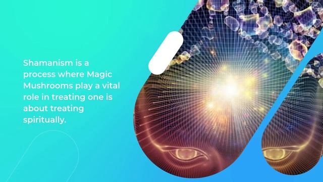 Magic Shrooms and Spiritual Healing смотреть онлайн