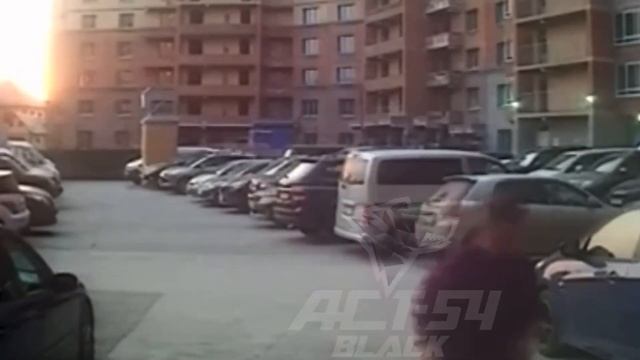 В Новосибирске собака упала с балкона на припаркованную машину. смотреть онлайн