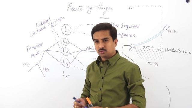 Anatomy Front of the thigh - Part 1 ( Dr.G.Bhanu Prakash ) смотреть онлайн