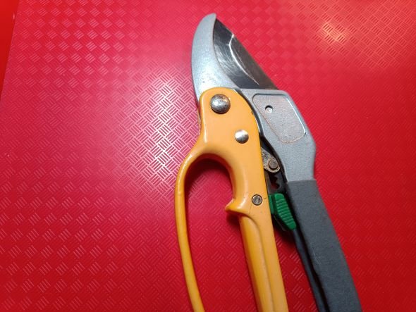 РОЗЫ. КАКОЙ ИНСТРУМЕНТ НУЖЕН ДЛЯ УХОДА смотреть онлайн