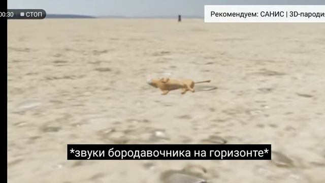 Как сделать игру для видео смотреть онлайн