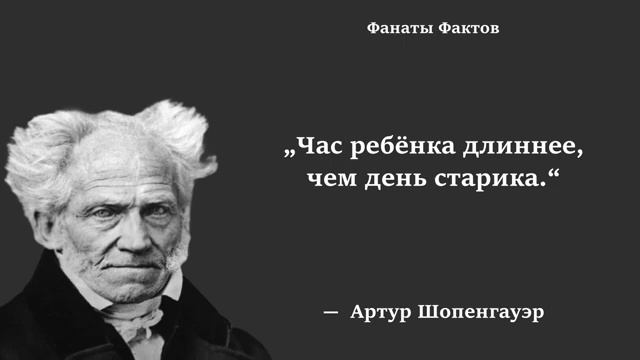 Артур Шопенгауэр. цитаты великих смотреть онлайн