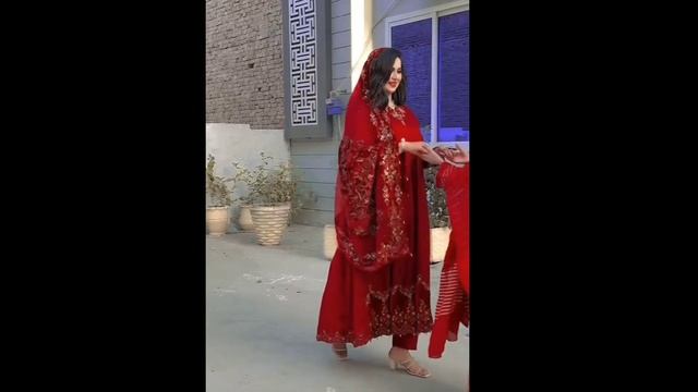 Aliza Sehar - tall & beautiful youtuber | tall woman short man | tall girl short girl смотреть онлайн