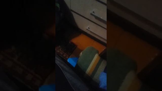 фигурки игры в кальмара смотреть онлайн