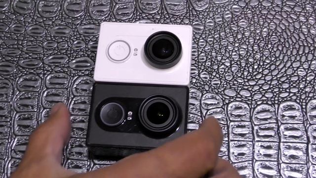 Шпиц Оливия после груминга. Бэлла завидует. Купили видеокамеру. Выкопали картошку