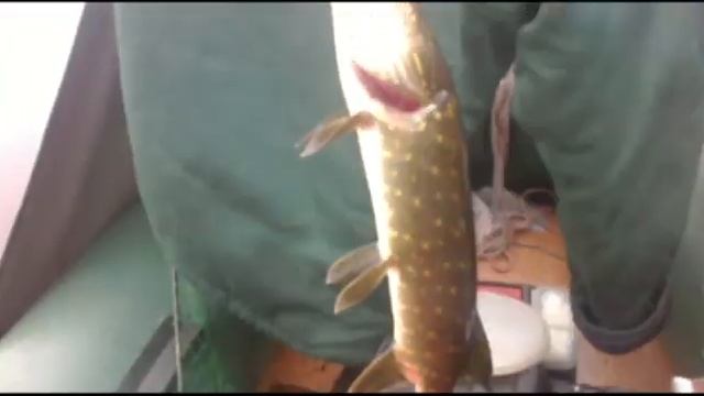 02 .10 .2016 Рыбалка на Нижне негочанском водохранилище(Кувшиново). смотреть онлайн