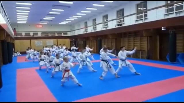 Тренировка детской сборной по ката. смотреть онлайн