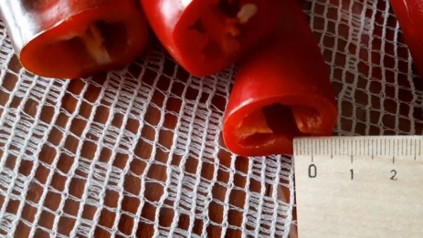сладкий перец'толщина стенки'мои сорта