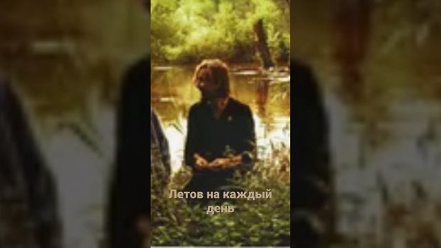 Летов на каждый день! Гражданская оборона- на дальней станции сойду #летов #панкрок #рек #чт смотреть онлайн