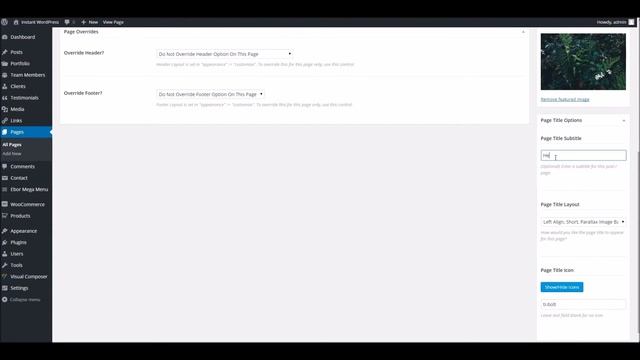 Foundry WordPress Theme - Page Title Options смотреть онлайн