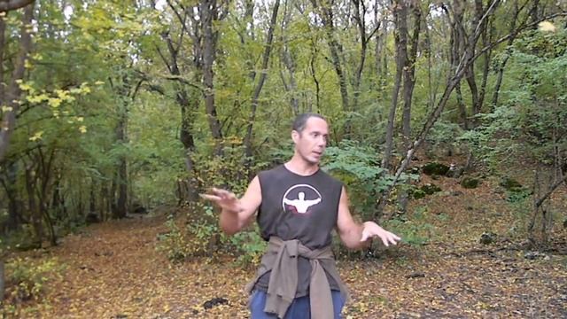 Шавкат Ниндзя против Ассасинов?) Легенды боевых искусств смотреть онлайн