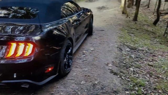 Ford Mustang 2018 Cabrio смотреть онлайн