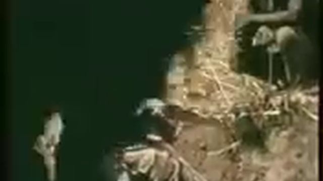 африканский питон ххх смотреть онлайн