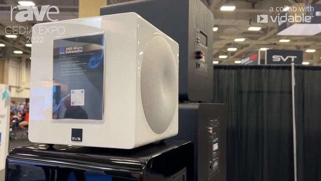 CEDIA Expo 22: SVS Presents 3000 Micro Subwoofer With Active Dual Opposing 8" Active Woofers смотреть онлайн