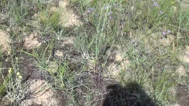 Секреты Творческой Профессиональности