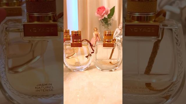 💃🏼Шикарная новинка у Chloe