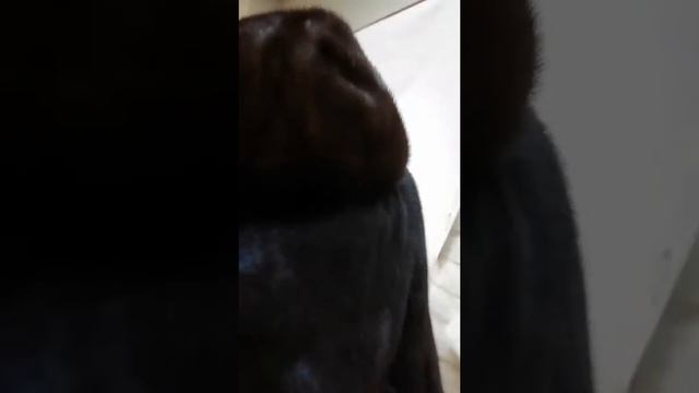 ВОСХИТИТЕЛЬНЫЙ НОРКОВЫЙ ПОЛУШУБОК С КАПЮШОНОМ смотреть онлайн