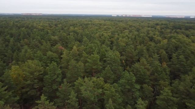 Томилинский лесопарк 20210911 Полёт коптера (DJI Mini SE) смотреть онлайн