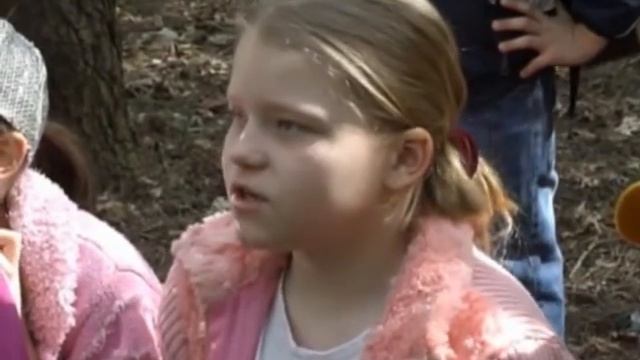 Уроки для начальных классов. Пишем сочинение в лесу смотреть онлайн