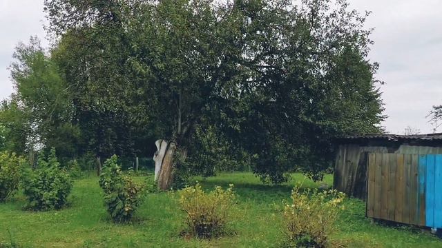 Уехали жить в деревню... На 2 дня... смотреть онлайн