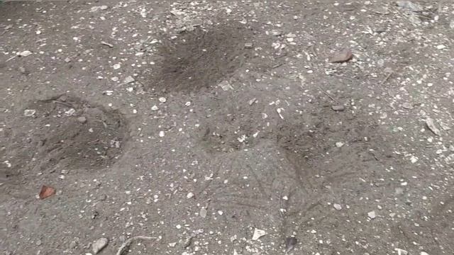 БОЛТАЛКА, ИНДИЙСКИЕ ВАЗЫ, КУРЫ, НЕПОГОДА смотреть онлайн