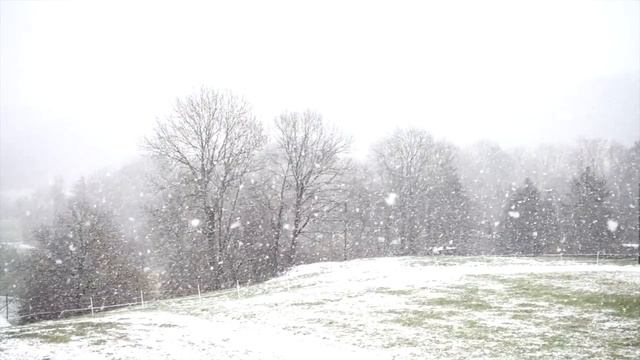 Каскадное сухое голодание.. смотреть онлайн