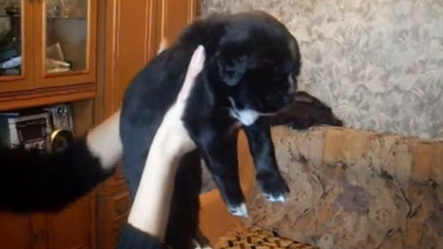 medelyan-female05-2.DIVX смотреть онлайн