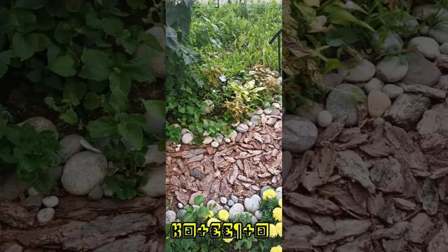 Meditation FreeStyle