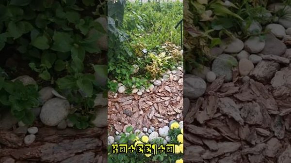 Meditation FreeStyle