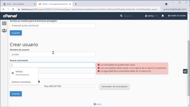 cPanel: Manual de usuario - Tutorial de cPanel en Español смотреть онлайн