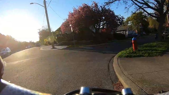 Cherry Blossom Hunting in Victoria - Spring 2021 - Part Two смотреть онлайн