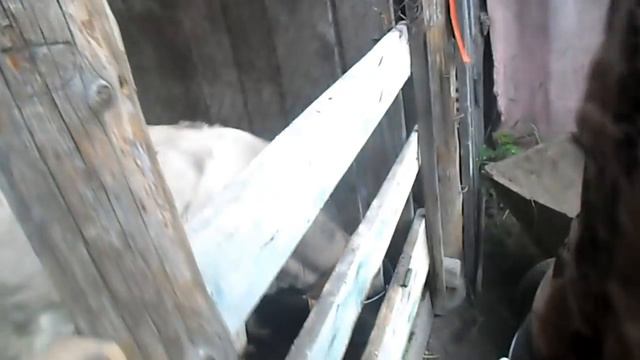 Наша жизнь \ Что случилось с Нюшей? смотреть онлайн