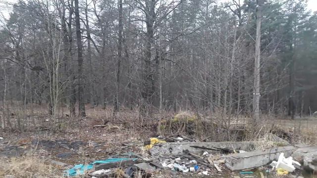 Петергоф. Александрийский парк (13 марта 2020 г.). смотреть онлайн