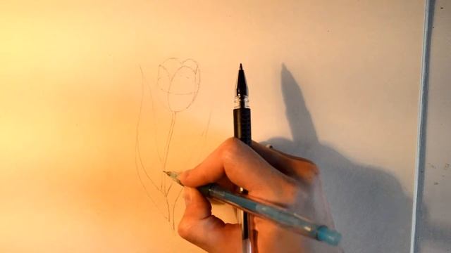 Как нарисовать тюльпан/Рисуем тюльпан/how to draw a tulip смотреть онлайн