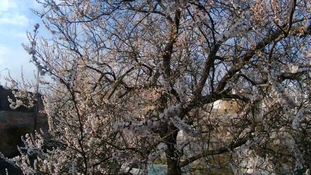 видео снятое на экшн камеру Airon ProCam 8 разрешение 3840 2160 30кс смотреть онлайн