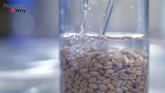 ЧИСТАЯ ПЕЧЕНЬ ЗА 2 Дня! Желудок Скажет СПАСИБО! смотреть онлайн