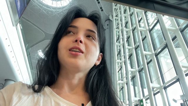 СПУСТЯ ГОД в Россию! Неудобные вопросы на паспортном контроле. смотреть онлайн