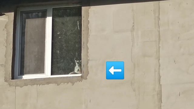 Фельдман экопарк в Харькове смотреть онлайн