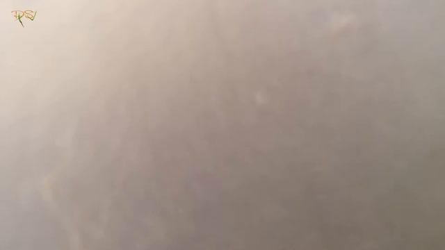 Мусор в воде Городского Пляжа, оз Сенеж, Солнечногорск 2014 смотреть онлайн